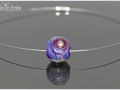 SAM_8325_2